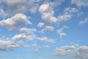 Obraz premium 青空と雲