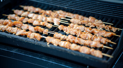 Chicken skewers barbeque. Food and health concept.