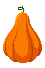 Isolated pumpkin. Gourds plant cute nature planting vegetable