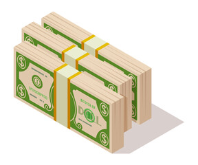 Banknote packs. Cash stack of dollar bills. Paper money