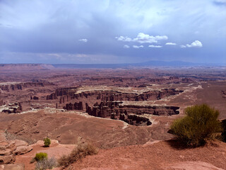Fototapeta na wymiar Canyon from Canyonlands National Park