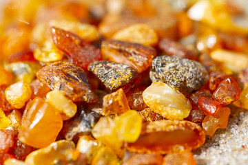 pieces of amber (Lithuanian gold) lying on beach