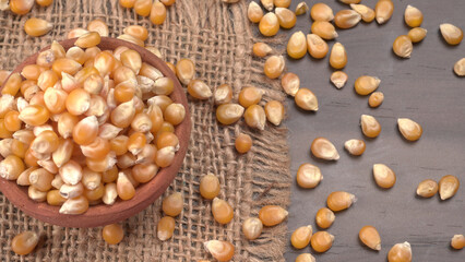 Raw Corn Seeds or Corn kernels are from Maize is a grain, and the kernels are used in cooking as a vegetable or a source of starch.