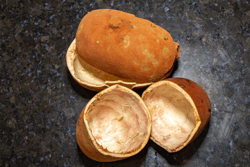 Cupuaçu (Theobroma grandiflorum) bark. Typical Amazonian tropical Brazilian fruit. Top view