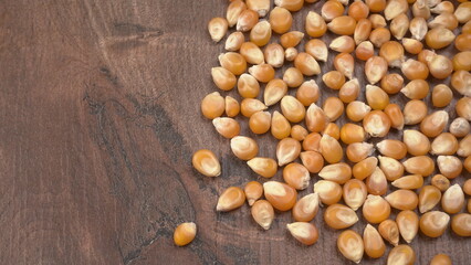 Raw Corn Seeds or Corn kernels are from Maize is a grain, and the kernels are used in cooking as a vegetable or a source of starch.