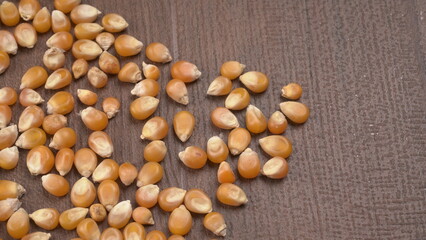 Raw Corn Seeds or Corn kernels are from Maize is a grain, and the kernels are used in cooking as a vegetable or a source of starch.