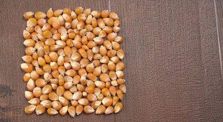 Raw Corn Seeds or Corn kernels are from Maize is a grain, and the kernels are used in cooking as a vegetable or a source of starch.