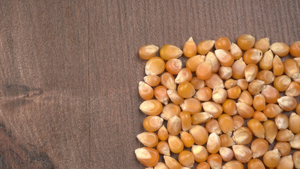 Raw Corn Seeds or Corn kernels are from Maize is a grain, and the kernels are used in cooking as a vegetable or a source of starch.