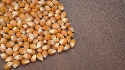 Raw Corn Seeds or Corn kernels are from Maize is a grain, and the kernels are used in cooking as a vegetable or a source of starch.