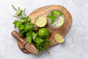 Mojito cocktail ingredients and drinks utensils