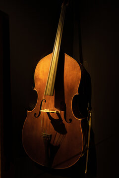 Violonchelo