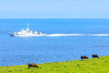 加部島にある夏の牧場と肥前立石埼灯台と巡視船 佐賀県唐津市　Summer Ranch in Kabeshima and Hizen Tateishisaki Lighthouse and patrol boat. Saga Prefecture Karatsu city.