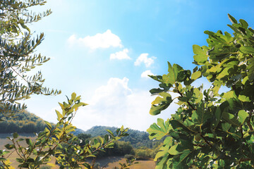 Fototapety na wymiar - Fototapeta24.pl