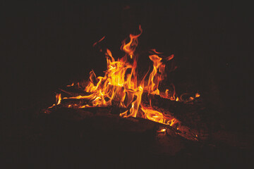 Campfire at night