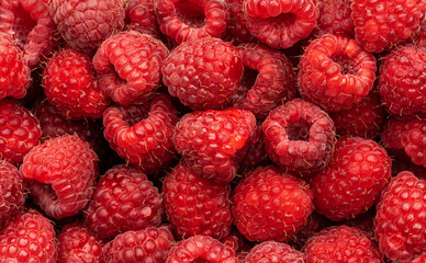 Ripe raspberries. Berries. A handful of raspberries. Scarlet. Raspberry field. Raspberry juice. 