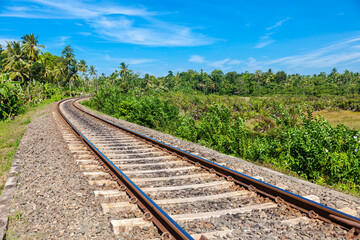 Fototapeta premium Railway passing through the jungle of the island of Sri Lanka