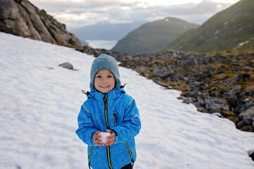 People, adult with kids and pet dog, hiking mount Hoven, enjoying the splendid view over Nordfjord from Loen skylift