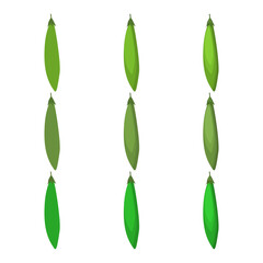 A vector drawn peapod illustration with various colors and amount of details