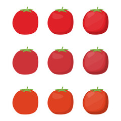 A vector drawn tomato illustration with various colors and amount of details