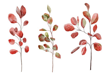 watercolor set of red autumn branches