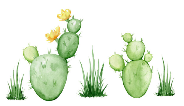Cacti, grass, watercolor set, plants, cartoon style, on an isolated background.