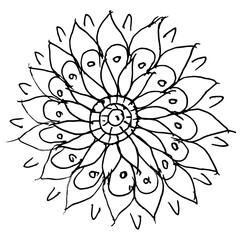 illustration of a flower