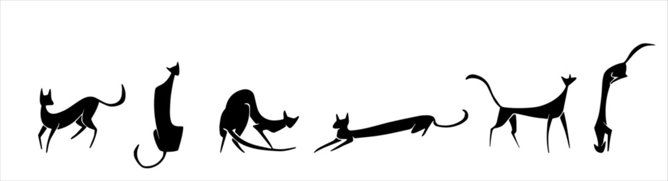Cats pose isolated vector on white background