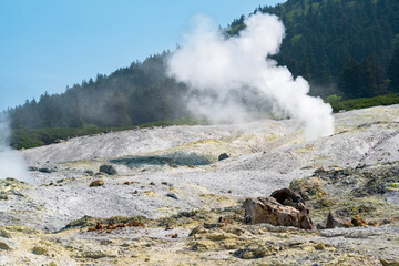 fumarole field on the slope of Mendeleev volcano, Kunashir island