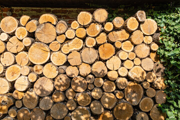 Oak firewood is sawn into stumps and stacked. Alternative and cheap fuel for the stove instead of gas. Close-up of firewood piled up to dry in sun. Texture of oak stumps on cut.