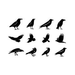 Set of ravens silhouettes vector, crow silhouttes template
