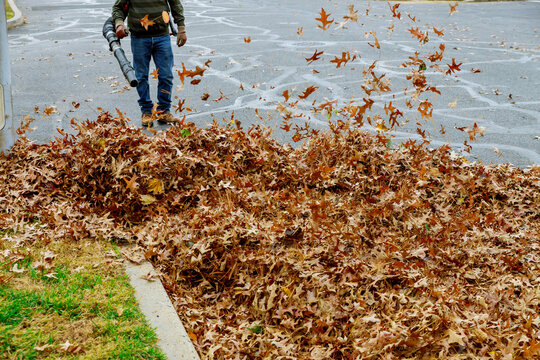 Fallen leaves near houses are being cleaned by a municipal worker uzing blower in the autumn.
