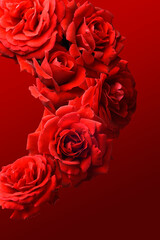 Fototapeta na wymiar Red roses on a red background, floral design.