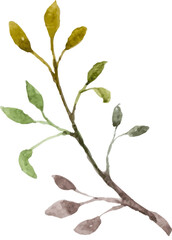 Watercolor Leaves Branches
