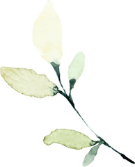 Watercolor Leaves Branches