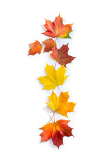Number 1 from of colorful autumnal maple leaves on white background. Top view, flat lay