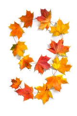 Number 9 from of colorful autumnal maple leaves on white background. Top view, flat lay