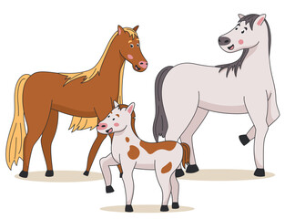 Family of horses stands on a white background. - obrazy, fototapety, plakaty