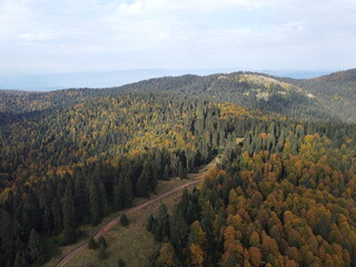 landscape from autumn