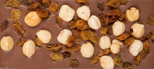 milk natural chocolate with roasted whole hazelnuts and white raisins
