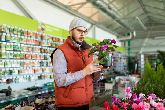 a customer chooses a potted plant as a gift in a hardware store