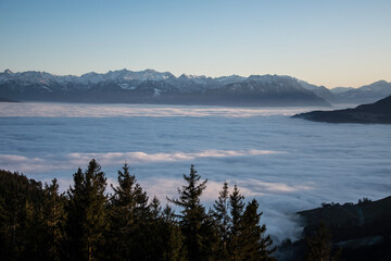 Fototapeta na wymiar beautiful mountain view at sunset, peaceful blue sea of fog and dark pine trees