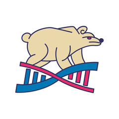 Bear with DNA logo design template.
