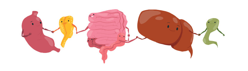 Vector set of human internal organs illustrations. Heart, lungs, kidneys, liver, stomach, bladder, pancreas, gall bladder, intestine. Smiling characters holding hands