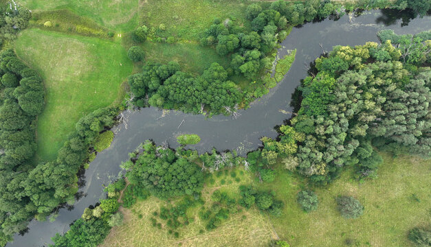 Natural river in the forest - aerial view