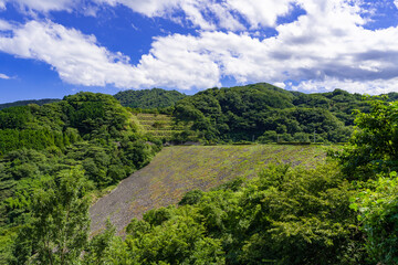 Obraz premium 静岡県伊東市 松川湖 奥野ダム 公園