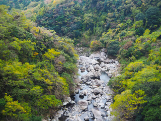Fototapeta na wymiar Cheonjeyeon waterfall flanked by rocks and trees in winter, Jeju Island, South Korea