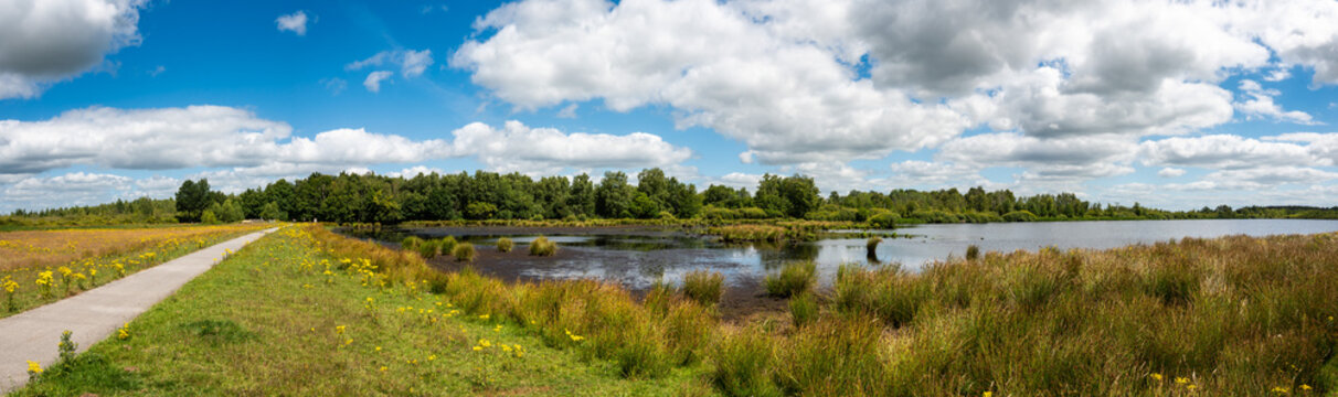Landscape view over green grass, heather vegetation and water ponds of the fen national park, The Netherlands
