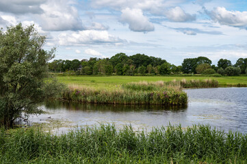 Fototapeta na wymiar Wetlands, natural ponds and green surroundings at the fluid zone of the river Vecht, The Netherlands