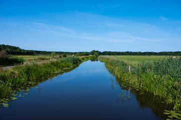 Wetland nature reserve with blue water of the lake, green grass over blue sky around Onlanden