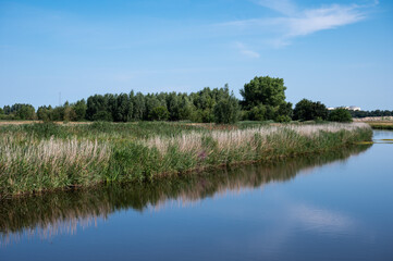 Fototapeta na wymiar Wetland nature reserve with blue water of the lake, green grass over blue sky around Onlanden